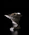Constructed Vessel, Black Lustrous Silver, Ewer | Yosuke Yamaura