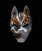 SPIKY FOX Mask | Takahiro Koga