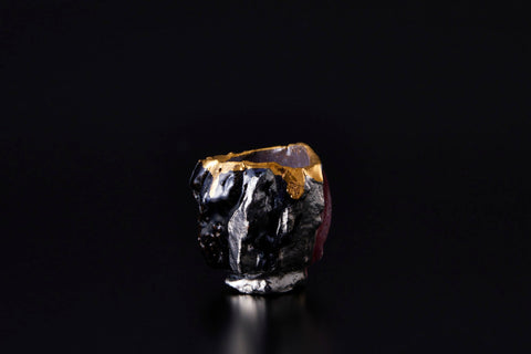 Black Butterfly | Toru Ichikawa (alternate view)