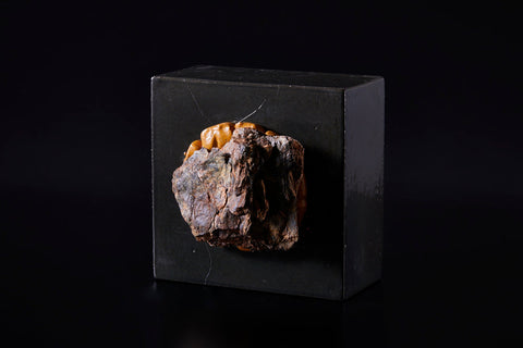 Meteor | Yoshiaki Imamura (alternate view)