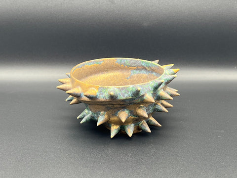 SPIKY SHELL | Takahiro Koga