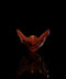 Armor Cup, Grand Form, Red | Takahiro Koga