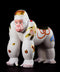 Otogi Shiro Gorira (Fairytale White Gorilla) | Hiromine Nakamura