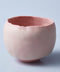 Tea Bowl, Sugar Coat | Tomoyuki Hoshino