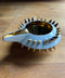 SPIKY POT|古賀崇洋