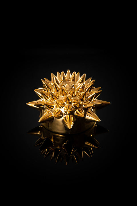 SPIKY SAKE CUP 0621-Ⅹ｜古賀崇洋（別角度）