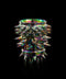 SPIKY ROCK CUP | Takahiro Koga