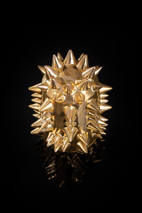 SPIKY ROCK CUP｜古賀崇洋（別角度）