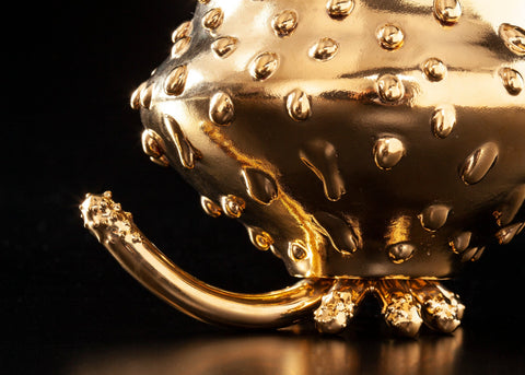 GOLDEN BOY | Gentaro Yokoyama (alternate view)