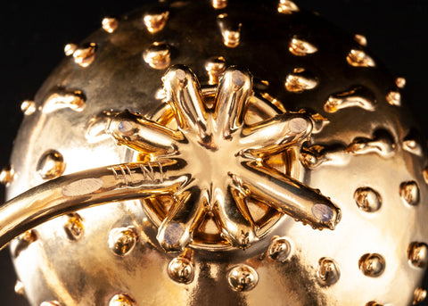 GOLDEN BOY | Gentaro Yokoyama (alternate view)