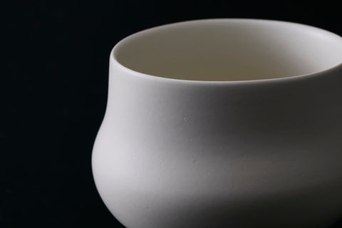 White Skin | Gentaro Yokoyama (alternate view)