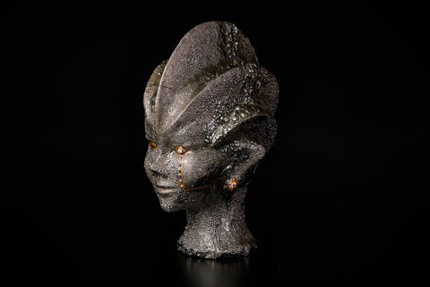Face | Toru Ichikawa (alternate view)