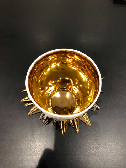 SPIKEY ROCK CUP | Takahiro Koga (alternate view)