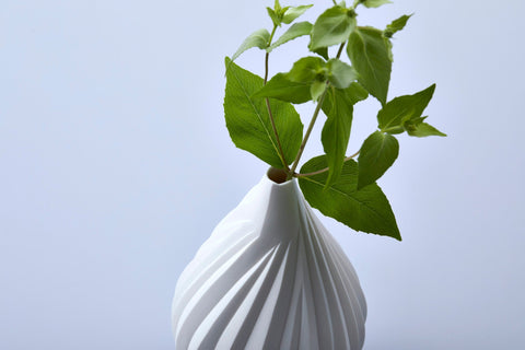 Fruit | Nami Takahashi (alternate view)
