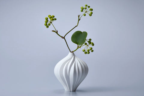 Fruit | Nami Takahashi (alternate view)