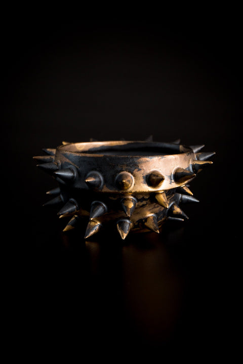 SPIKY SHELL | Takahiro Koga