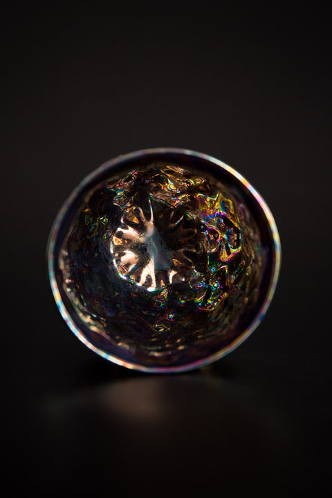 Kirira Cup | Takahiro Koga (alternate view)