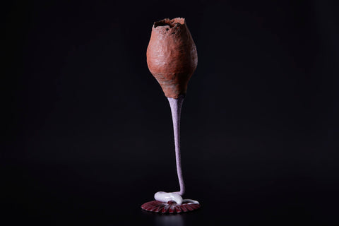 Glazed-Foot Cup, Illusion | Yoshiaki Imamura
