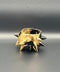 SPIKY SAKE CUP｜古賀崇洋