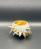 SPIKY SAKE CUP | Takahiro Koga