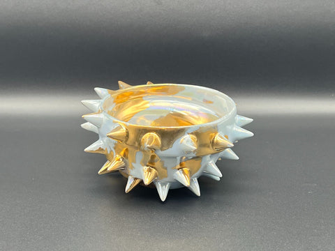 SPIKY SHELL | Takahiro Koga