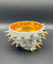 SPIKY SHELL | Takahiro Koga