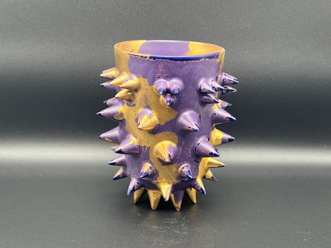 SPIKY ROCK CUP | Takahiro Koga