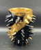 SPIKY ROCK CUP | Takahiro Koga