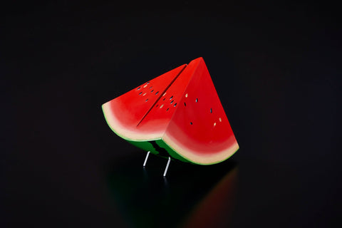 那年的夏天・・・｜若宮隆志（別角度）