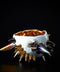 SPIKY SAKE BOWL｜古賀崇洋