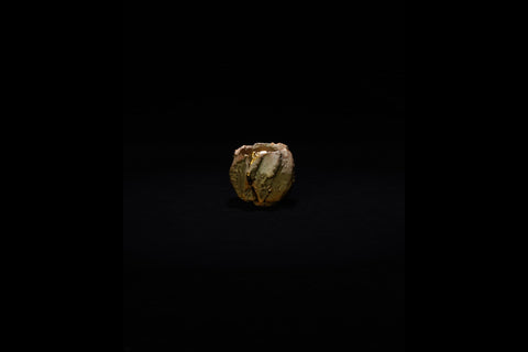 Guinomi (Sake Cup), Fusion | Toru Ichikawa (alternate view)