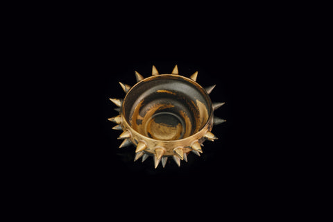 SPIKY SHELL BⅠ｜古賀崇洋（別角度）