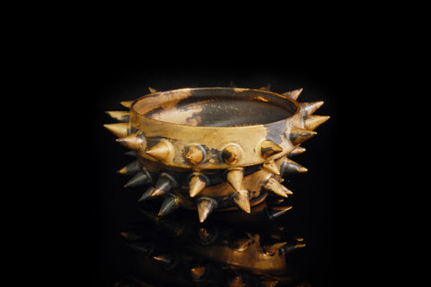 SPIKY SHELL BⅡ｜古賀崇洋（別角度）