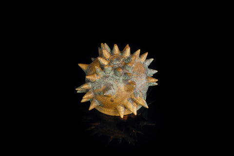 SPIKY SAKE CUP C｜古賀崇洋（別角度）