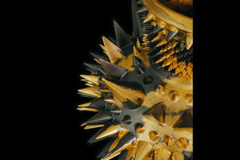 SPIKY COMPLEX｜古賀崇洋（別角度）