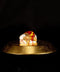 昼寝の王｜中村弘峰