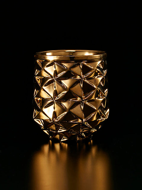 Kira Cup | Takahiro Koga