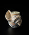 Spiral Shell / Round Jar | Keiko Masumoto