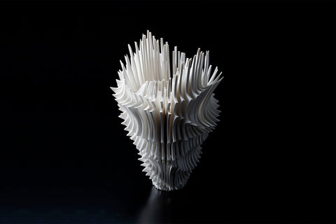 Bone Flower｜奈良祐希