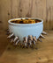 SPIKY TEA BOWL｜古賀崇洋