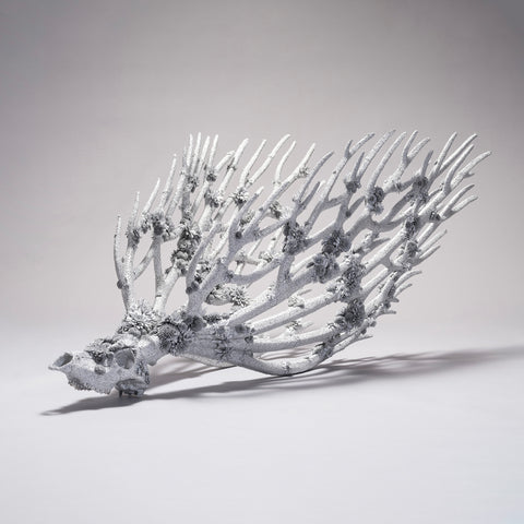 髙橋賢悟 作品 2