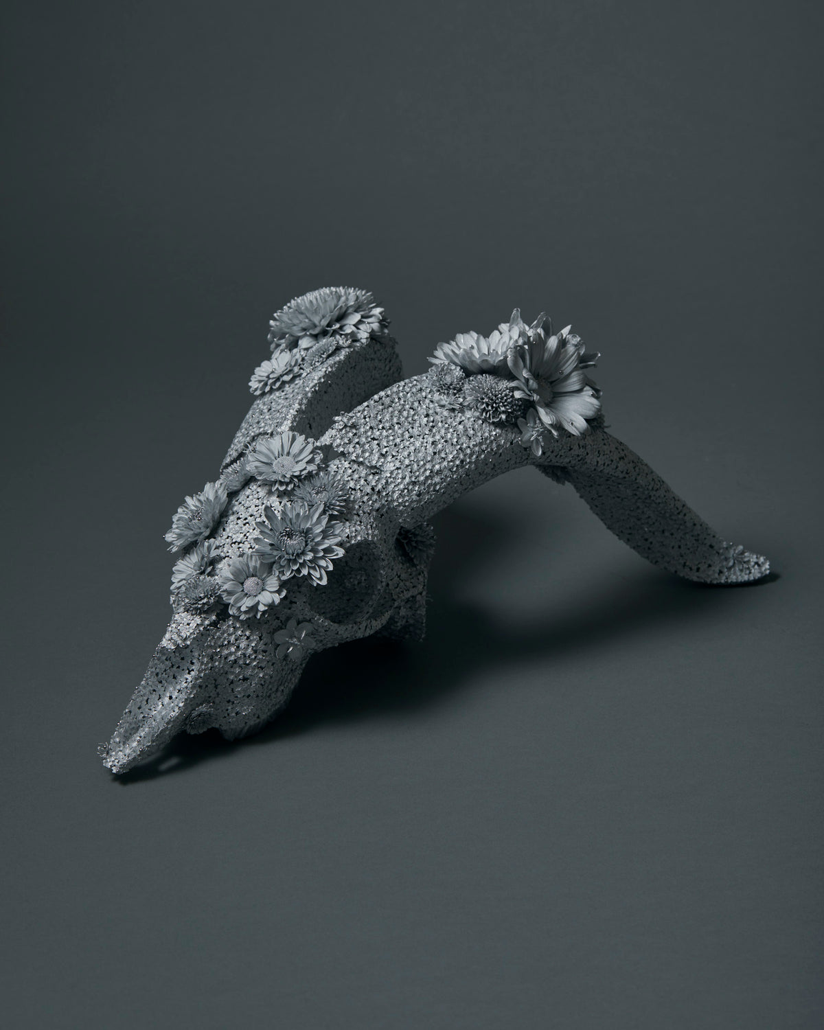 髙橋賢悟 作品 11